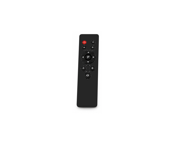 Actual included black remote control