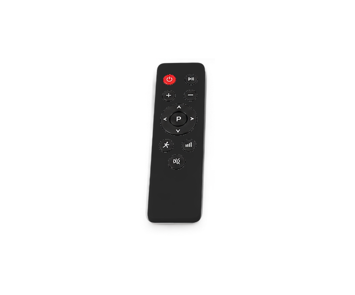 Actual included black remote control